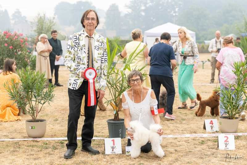ALASKA EASY ON ME DES JOLIS COEURS DE STANLEY JEUNE CHAMPION DE FRANCE (en cours d'homologation)