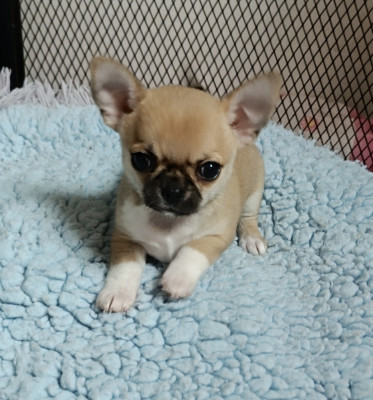 Bébé 2